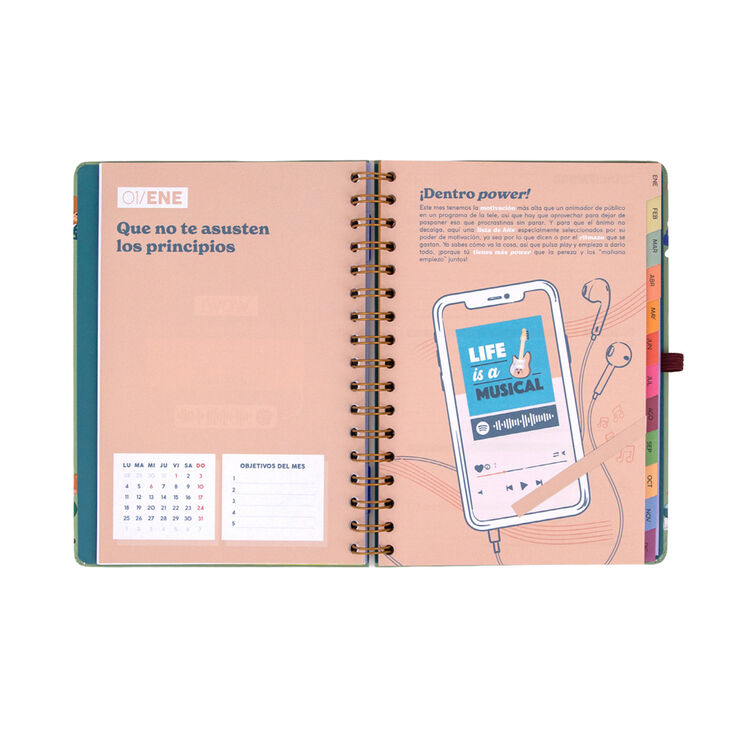 Agenda Mr. Wonderful Semana Vista Castellano Entre Rutinas 2027