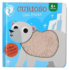 Curioso Oso Polar Curioso Oso Polar