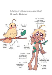 Magic Animals 1. El poder de l'amulet