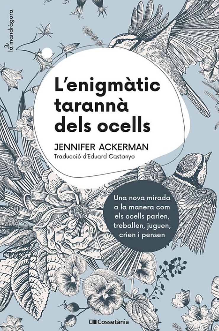 L'enigmàtic tarannà del ocells