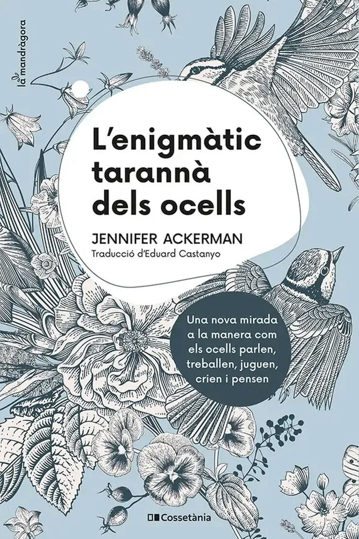 L'enigm&agrave;tic tarann&agrave; dels ocells