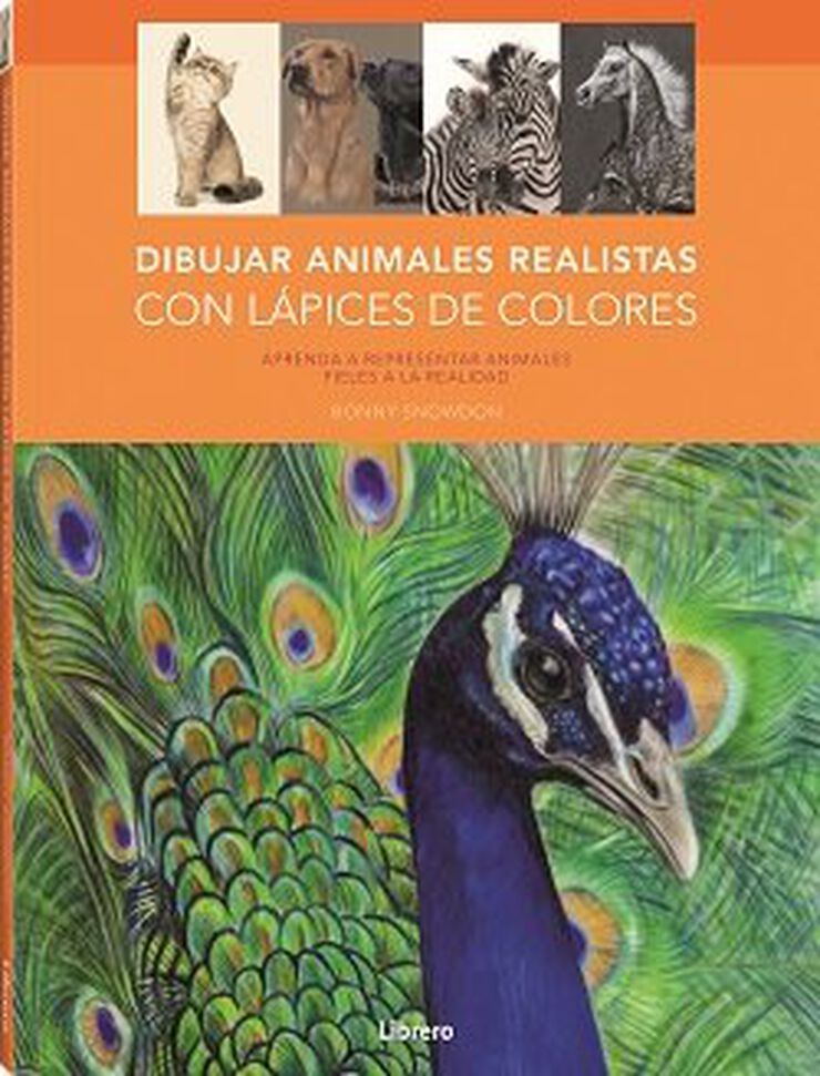 Dibujar y pintar animales realistas con lápices de colores