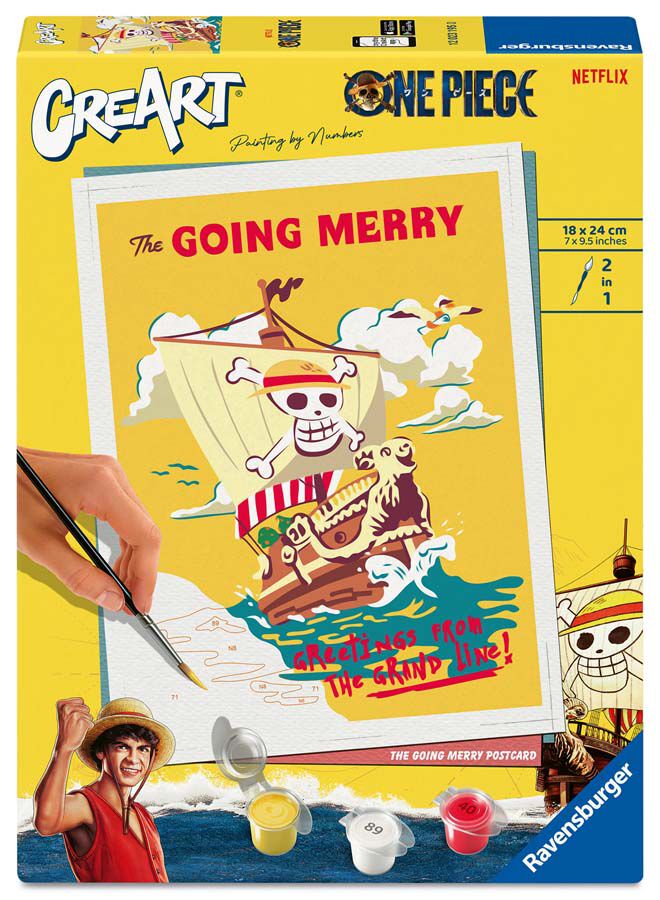 Pintar por N&uacute;meros Going Merry One Piece