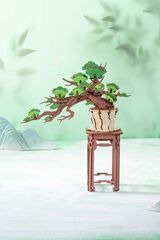 Maqueta Rolife Bonsai Pine
