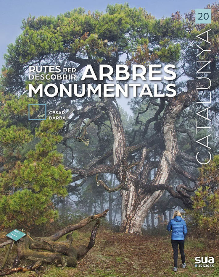 Rutes per descobrir arbres monumentals