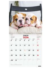 Calendario pared Finocam 30x30 2026 Cachorros castellano