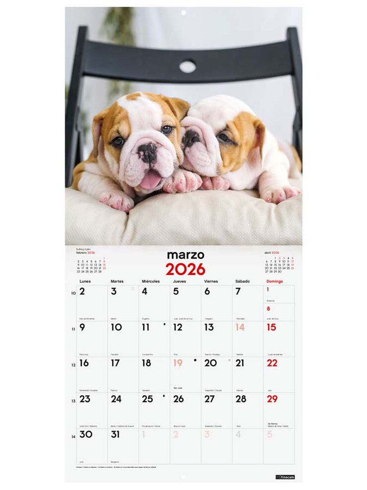 Calendario pared Finocam 30x30 2026 Cachorros castellano