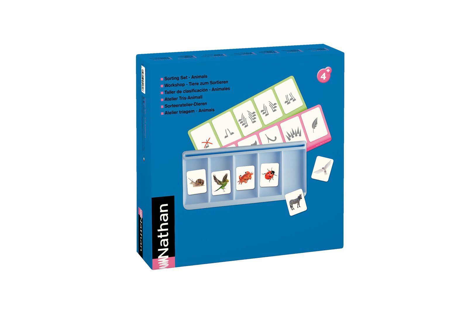 Taller Classificaci&oacute; - Els animals