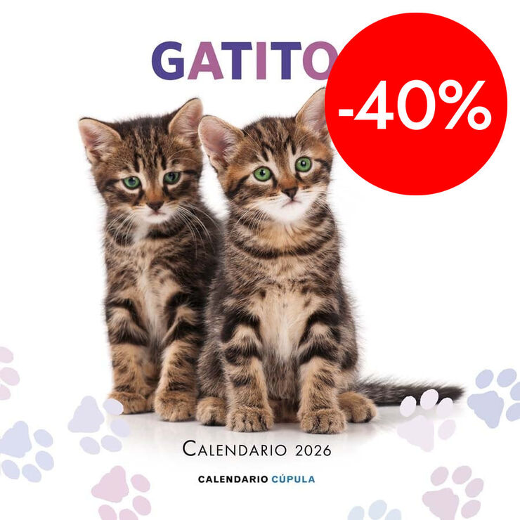Calendario pared Gatitos 2026 castellano