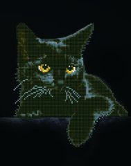 Diamond Dotz Gato negro
