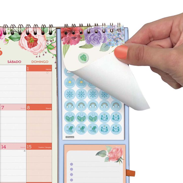 Calendario Finocam pared 16 meses plus cas 2025-26 Frases