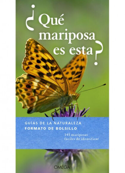 ¿Qué mariposa es esta? ¿Qué mariposa es esta?