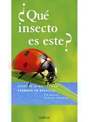 ¿Qué insecto es este? ¿Qué insecto es este?