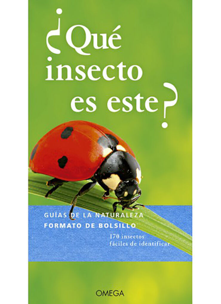 ¿Qué insecto es este?