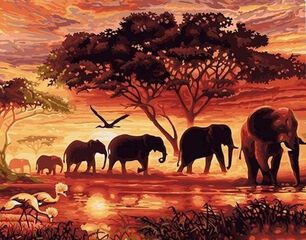 Pintura por números Figured’Art Elefantes s/bastidor
