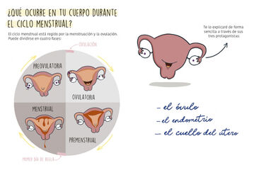 La regla mola (si sabes cómo funciona)