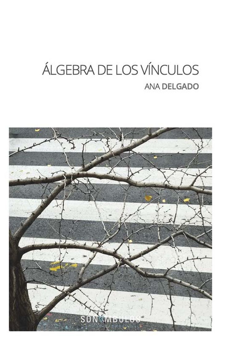 Álgebra de los vínculos