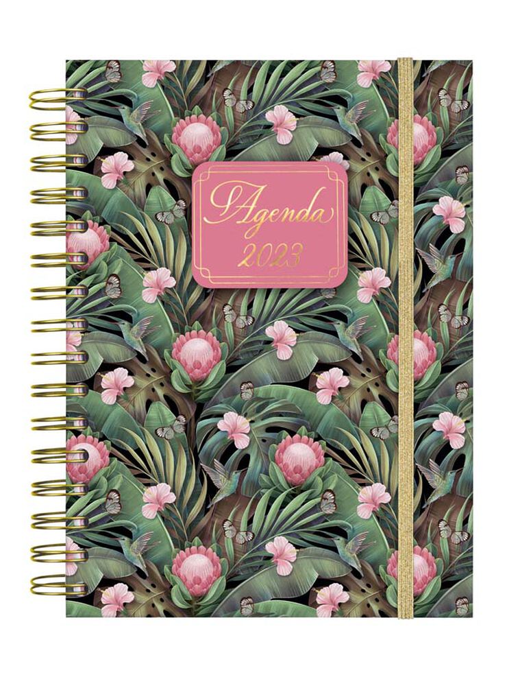 Agenda You E10 1DP 23 Tulip Cast