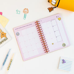 Agenda Escolar Erik A5 S/V Mult. 2026-2027 Garfield