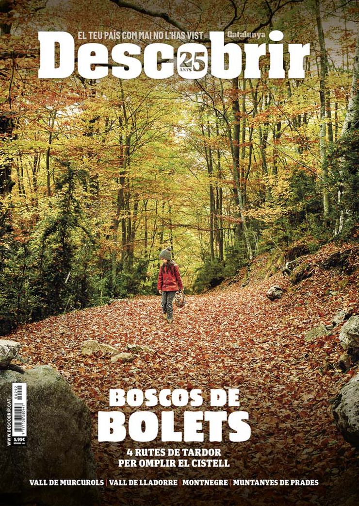 Descobrir 292 - Boscos de bolets