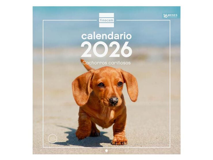 Calendario pared Finocam 30x30 2026 Cachorros castellano