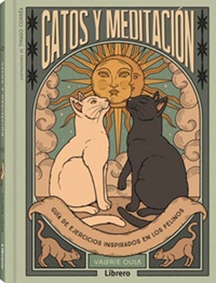 Gatos y meditación