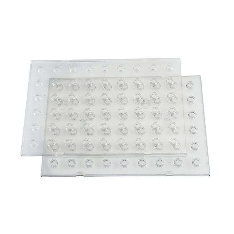 Bases Nathan Maxicoloredo bases 2U