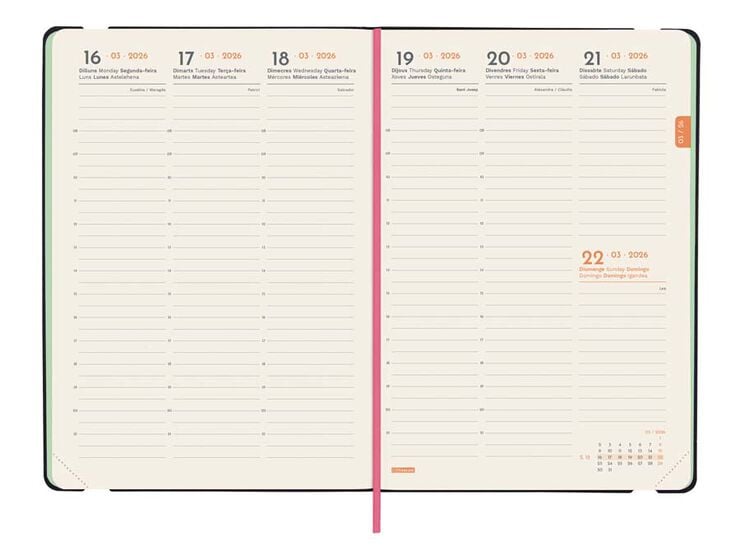 Agenda Finocam Joy FA5 sem/vista vertical cat 2026 Bloom