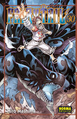 Fairy Tail 30 Fairy Tail 30