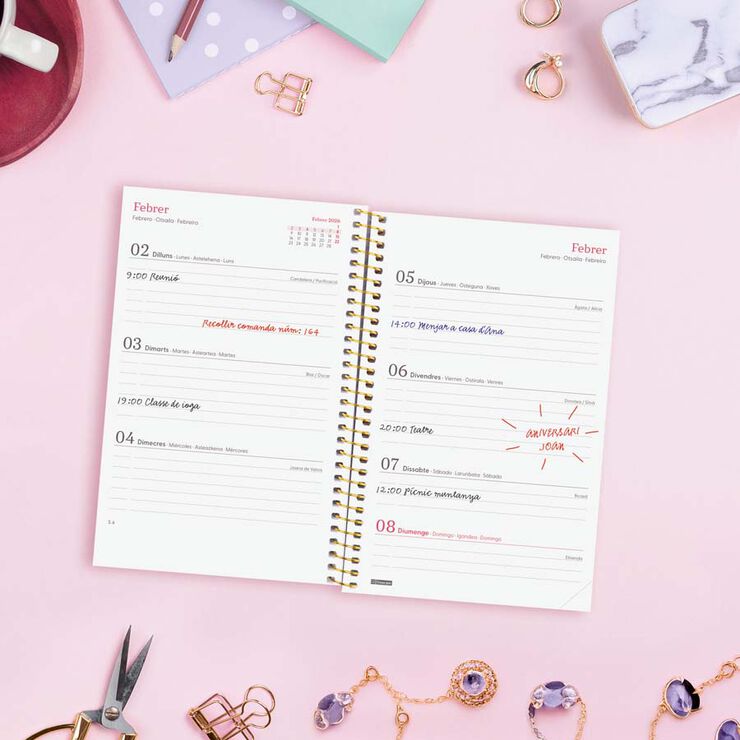 Agenda Finocam Design Collection E5 sem/vista horizontal cat 2026 Goldy