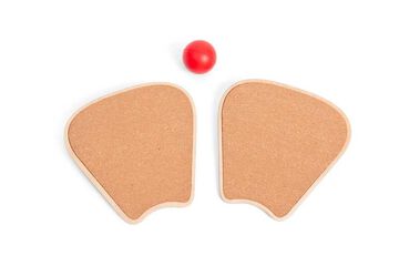 Juego de Palas