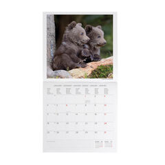 Calendario Legami 30x29 Pared Baby Animals Multiling&uuml;e 2027