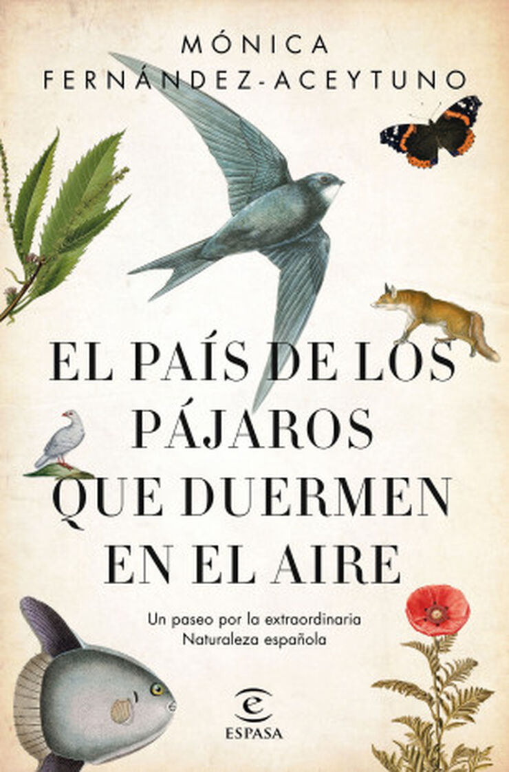 El país de los pájaros que duermen en el