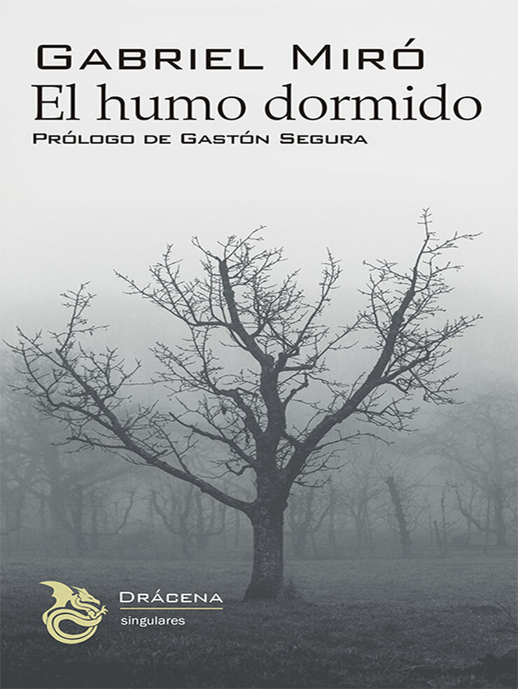 El humo dormido