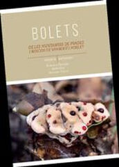 Bolets de les muntanyes de Prades i boscos de Vimbodí i Poblet Bolets de les muntanyes de Prades i boscos de Vimbodí i Poblet