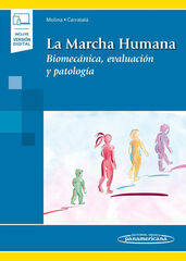 La Marcha Humana. Biomec&aacute;nica, evaluaci&oacute;n y patolog&iacute;a