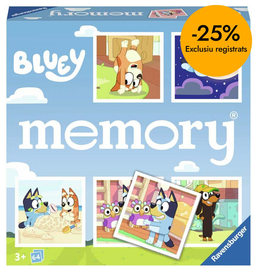 Memory Bluey
