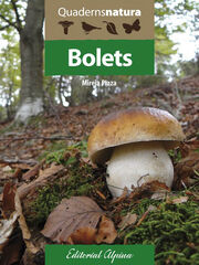 Bolets
