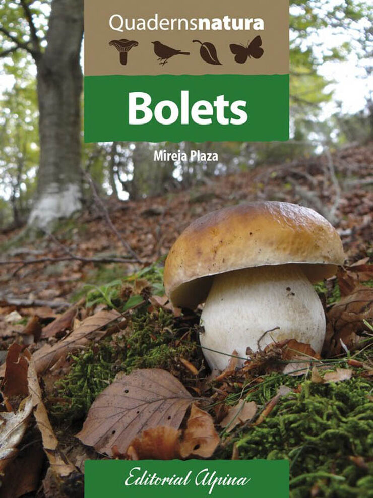 Bolets Bolets