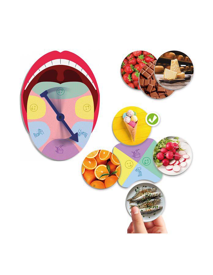 El sentit del gust i els sabors