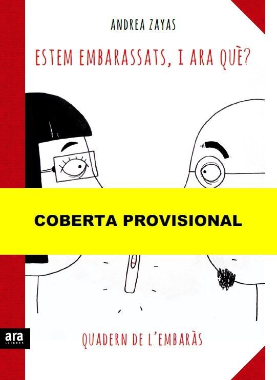 Estic embarassada, i ara qu&egrave;?