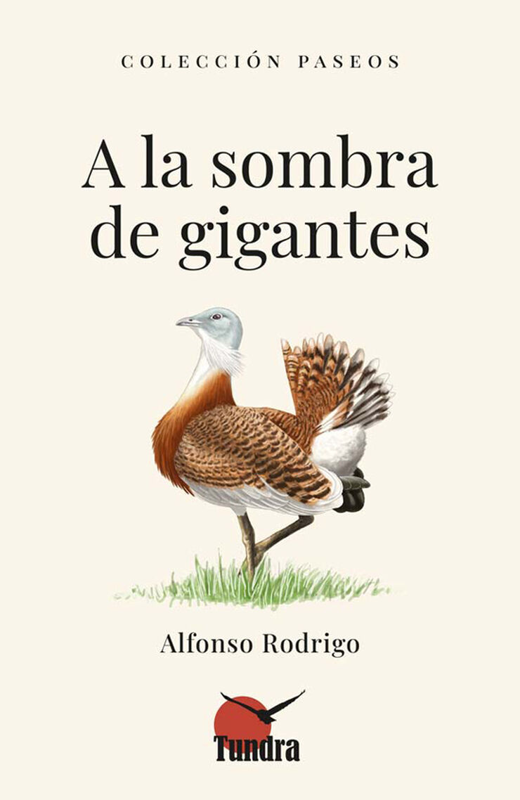 A la sombra de gigantes