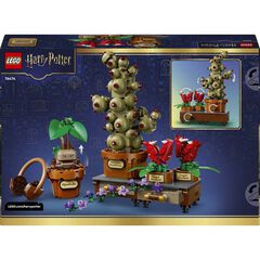 LEGO&reg; Harry Potter TM Hogwarts&trade; Plantas de Herbolog&iacute;a 76474