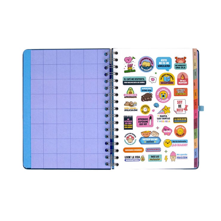 Agenda Mr. Wonderful Semana Vista Castellano Plan De Hoy... 2027