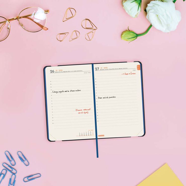 Agenda Finocam Joy F2 día/pág cat 2026 Fiona