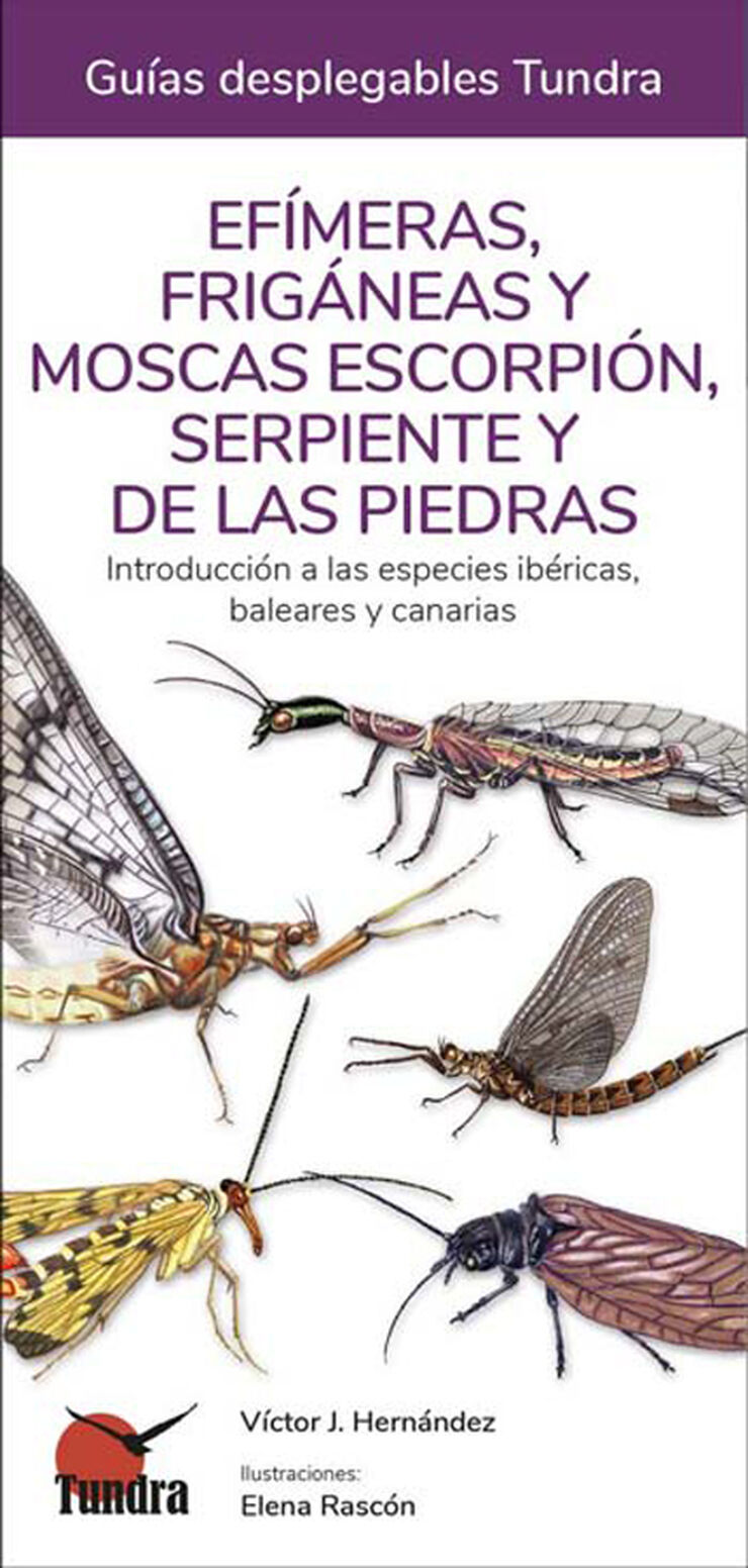 Efímeras, frigáneas y moscas escorpión, serpiente y de las piedras. Introducción a las especies ibéricas, baleares y canarias