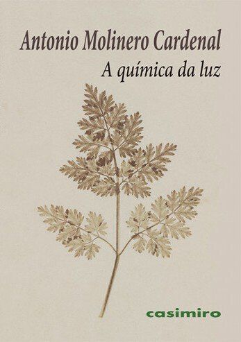 A qu&iacute;mica da luz