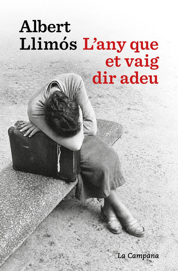 L'any que et vaig dir adeu