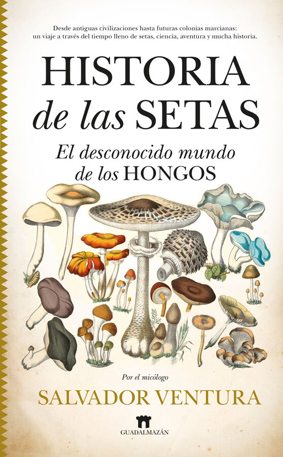 Historias de las setas