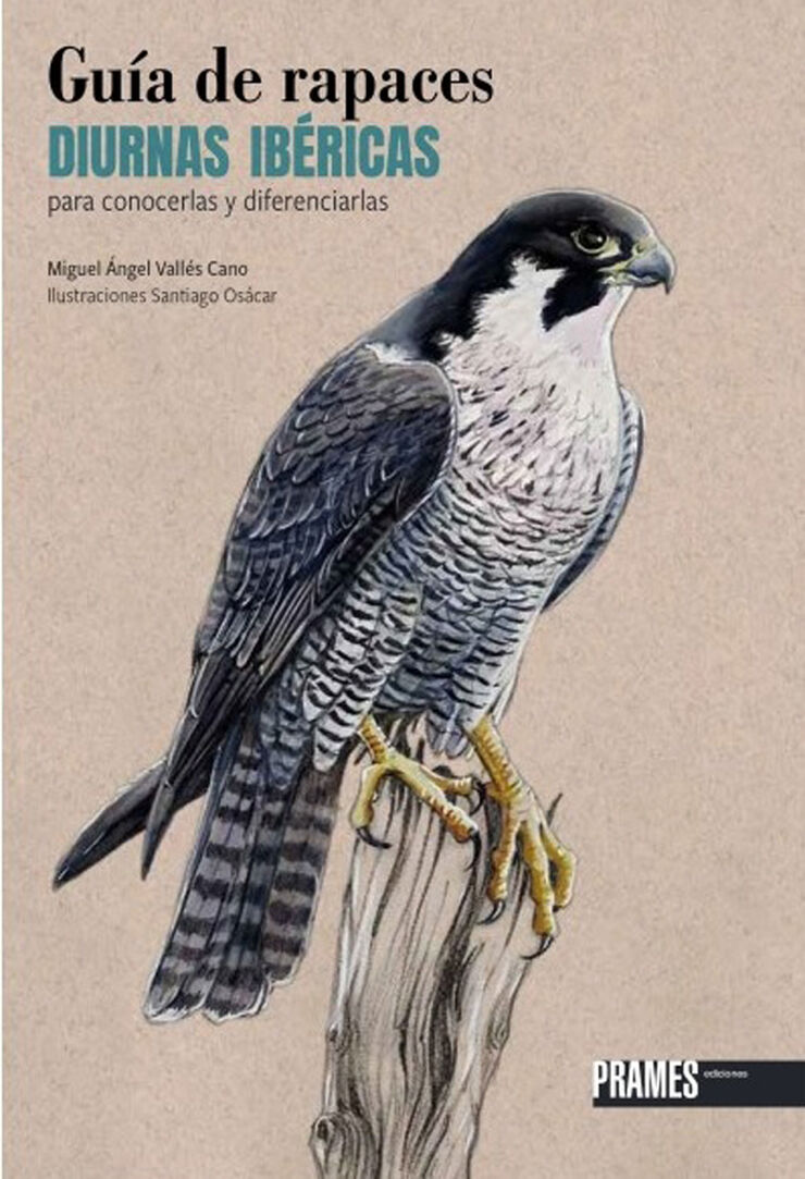 Guía de rapaces diurnas ibéricas para conocerlas y diferenciarlas